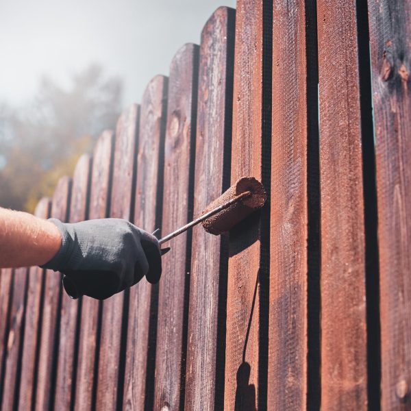 fence